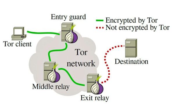 Kraken tor
